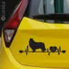 Kolie – nálepka - Collie Aufkleber sticker
