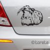 Dlouhosrsté morče Morče nálepka - Meerschweinchen  Langhaar Hausmeerschweinchen Aufkleber - Long haired guinea pig sticker