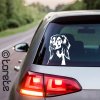 saluki sticker aufkleber nalepka
