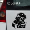 Nemecký drôtosrstý stavač lepka German Wirehaired Pointer sticker Německý ohař drátosrstý nalepka Deutsch Drahthaar aufkleber