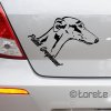 Polish Greyhound sticker