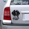 Grand épagneul de Münster  Autocollant / Sticker