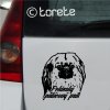 Pekinsky palacovy psik lepka