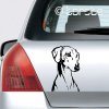 Azawakh sticker aufkleber azavak nalepka