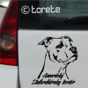 amstaff lepka