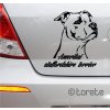 Amerikai staffordshire terrier autómatrica