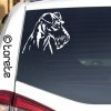 Irský teriér nálepka - Irish Terrier sticker aufklber