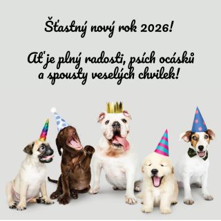 🎉🐾 Šťastný nový rok 2026! 🐾🎉 Ať je plný radosti, psích ocásků a spousty veselých chvilek! 🐶✨ Party pejskové už jsou...
