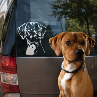 🐾 Z obyčejné fotky něco, co vám bude dělat radost každý den. ❤️ Stačí nám poslat fotku vašeho čtyřnohého parťáka a my ji...