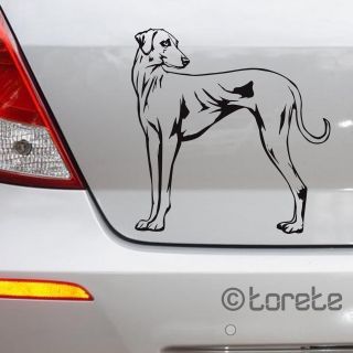 🐕✨ Sloughi – elegance, rychlost a krása v jednom. Vzácné a ušlechtilé plemeno s nezaměnitelnou siluetou, které si získá...