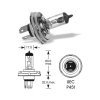 6V H4 60-55W asymetrická P45t-41, Elta