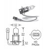 12V H3 55W Pk22s, Osram