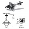 12V HS1 35-35W PX43t, Elta