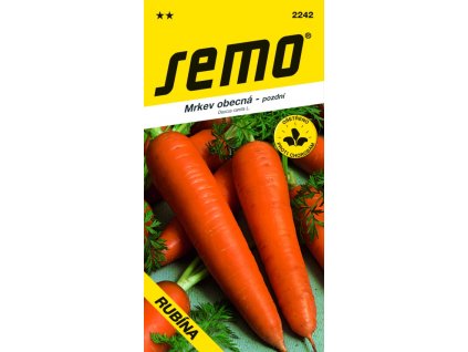 4457 1 mrkev rubina darina pozdni 3g