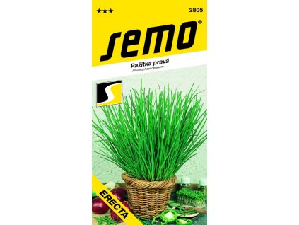 4514 1 pazitka erecta vzprimena 2g