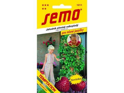 5480 1 jahodnik previsly temptation 15s serie jazycky