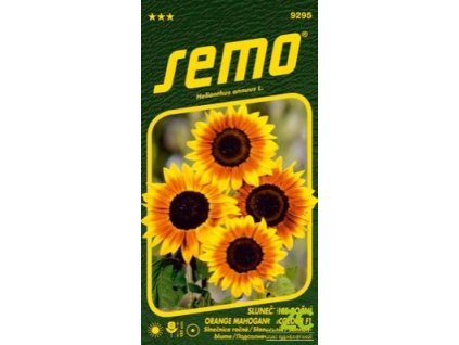 16334 slunecnice rocni orange mahogany bicolour f1 8s