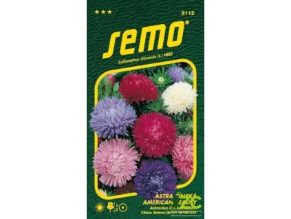 16340 astra cinska american beauty smes 0 5g