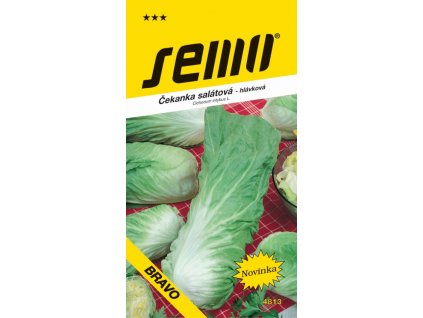 5498 1 cekanka hlavkova zelena pan di zucchero bravo 0 3g