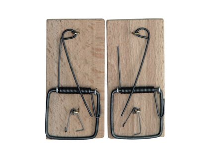 1283 past na mysi 2ks gr5100