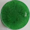 193 hahn color pigment m metalicky stredne zeleny do epoxidu 50g
