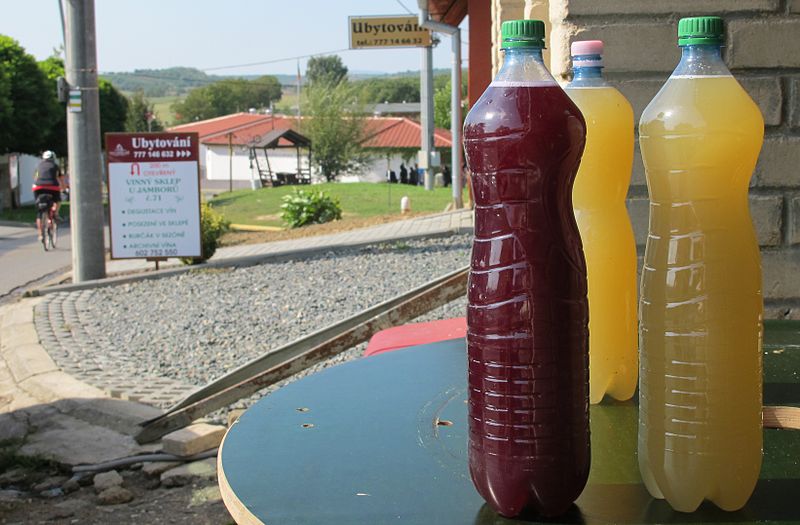 Záhada: Existuje toskánský burčák? A co víno Svatomartinské?