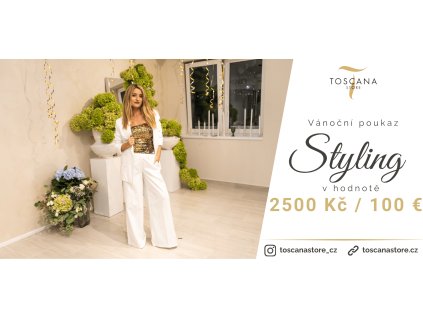Vánoční styling 2500