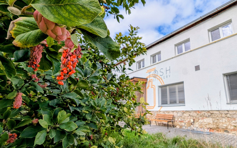 Budova TOSH Distillery
