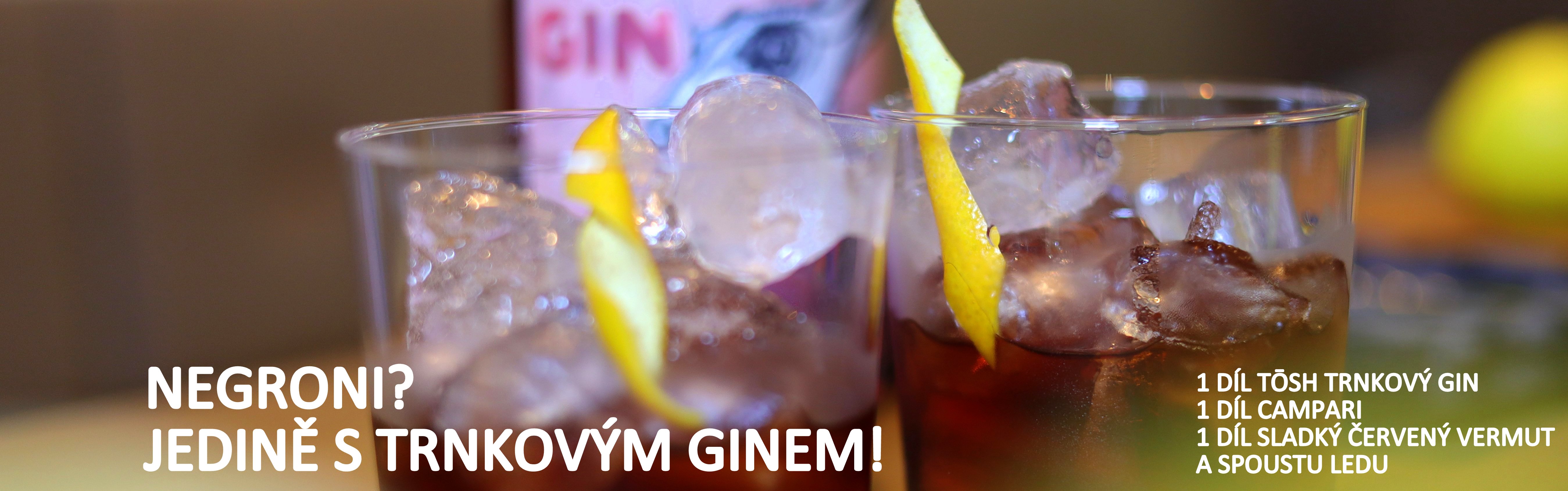 Trnkový gin