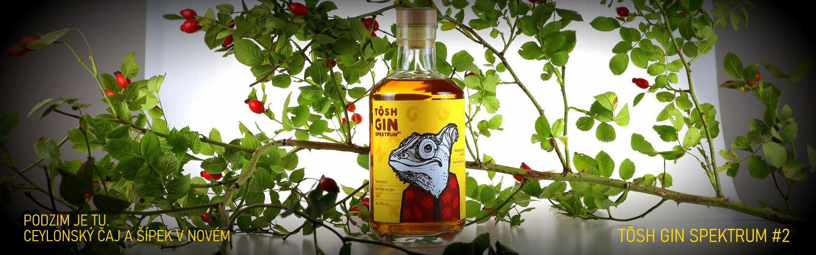 TOSH GIN Spektrum #2