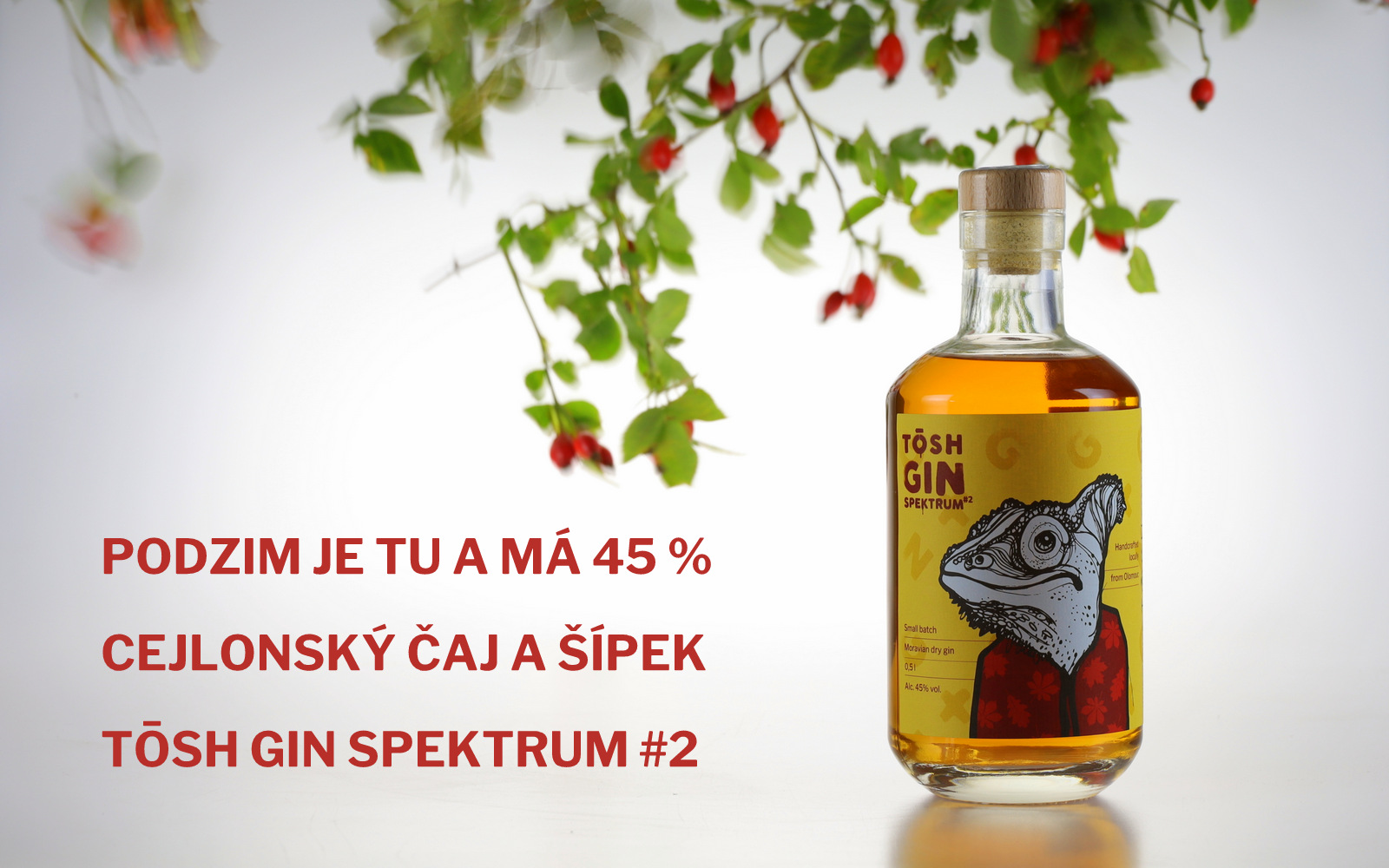 TŌSH Gin SPEKTRUM #2 45 % | 500ml