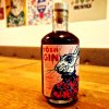 TŌSH Gin trnkový 40% | 500ml
