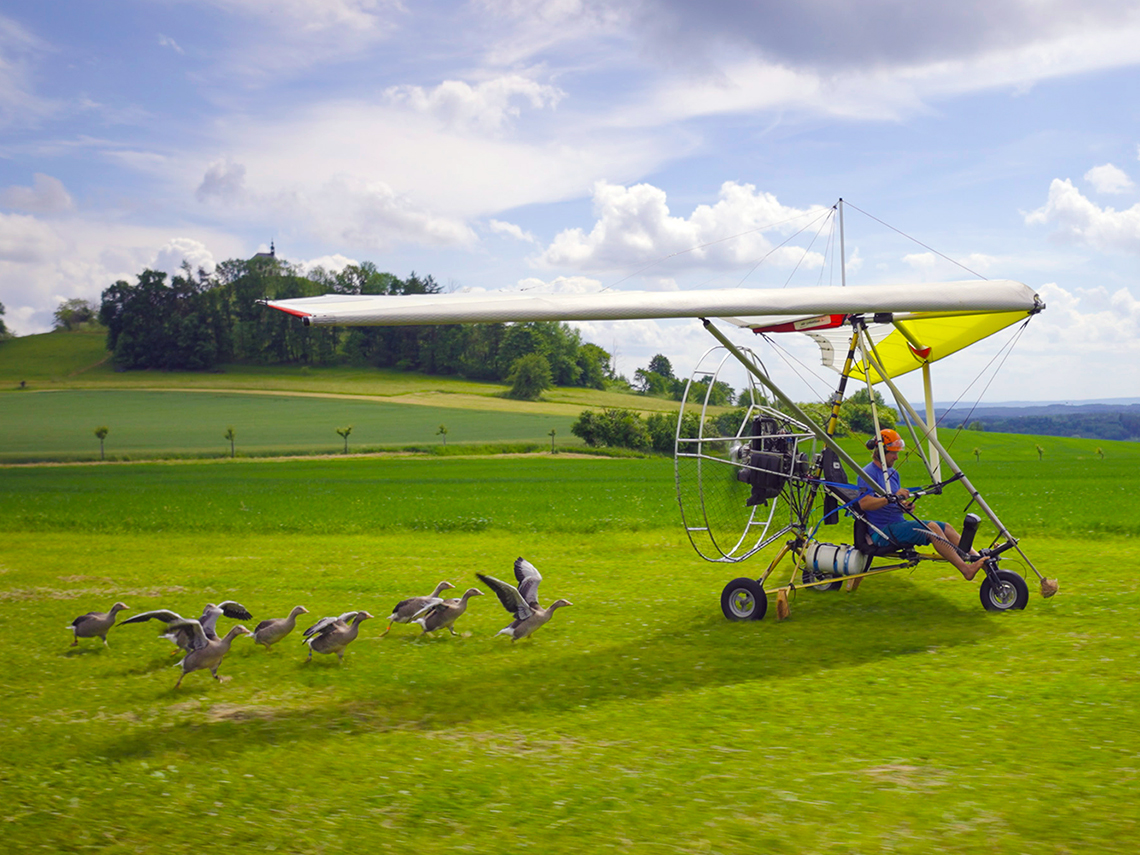 Z horského vůdce husopasem - Janek Bednařík