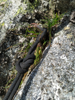 Skobka ve standu Punta Ferrario