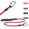 rope dog lead