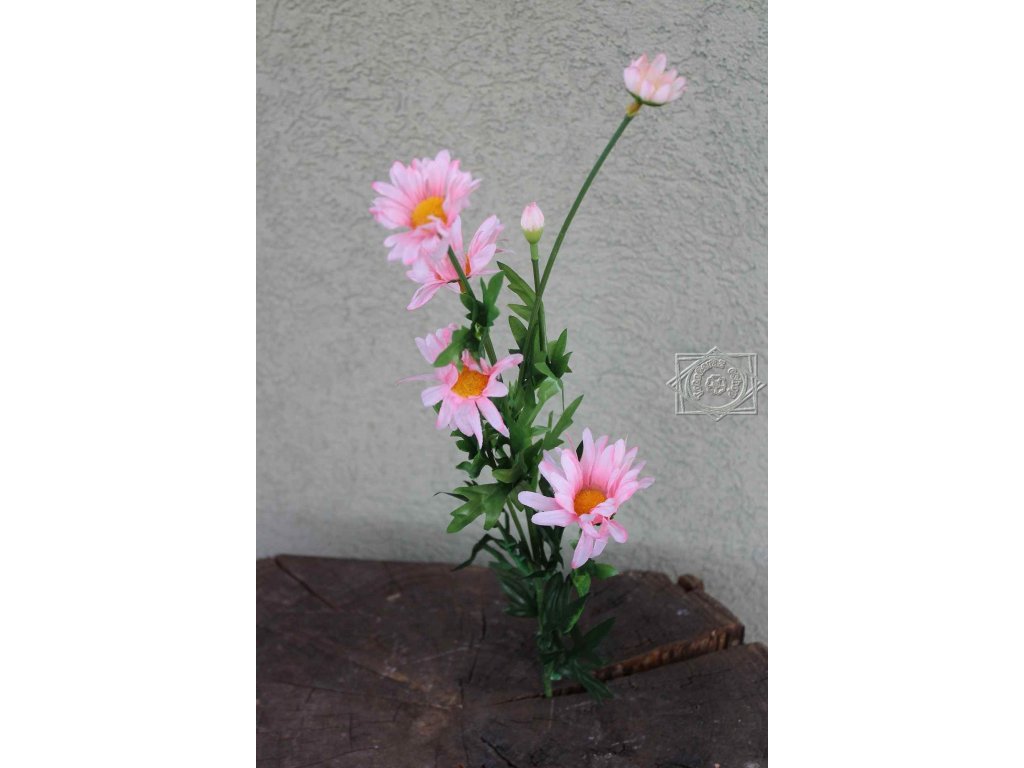 margaréta kvet 80cm - dekorácia