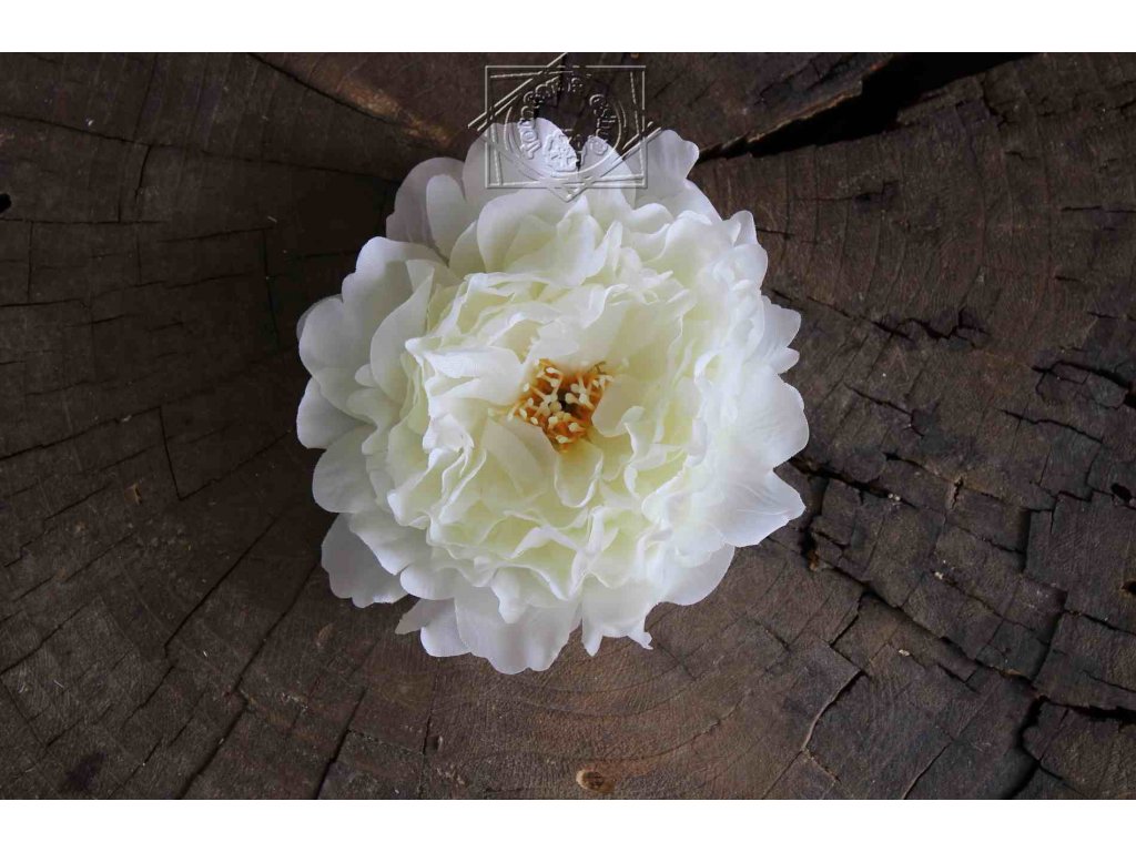 Hlavička kvetu pivonia 12cm biela - dekorácia