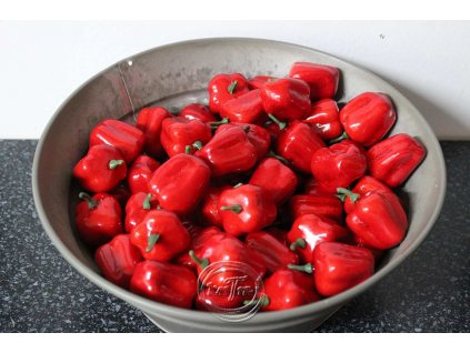 paprika červená 4cm/5ks v balíčku - umelohmotná dekorácia