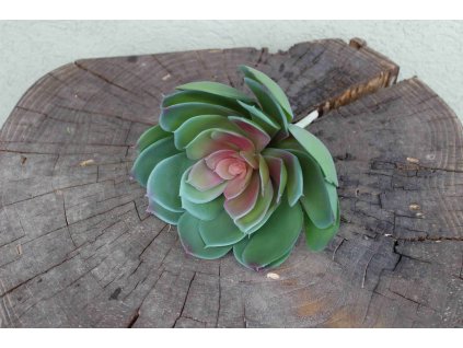 kaktus sukulent umelý 19cm  - dekorácia