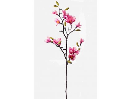 9200238 magnolia ruž.1,6m konar