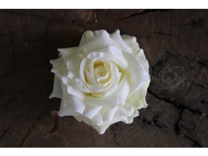 Hlavička kvetu ruža 8cm biela - dekorácia