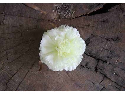 Hlavička kvetu karafiát 7cm krémová - dekorácia