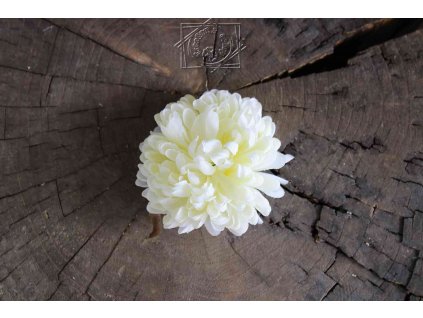 Hlavička kvetu chryzantéma 10cm krémová - dekorácia
