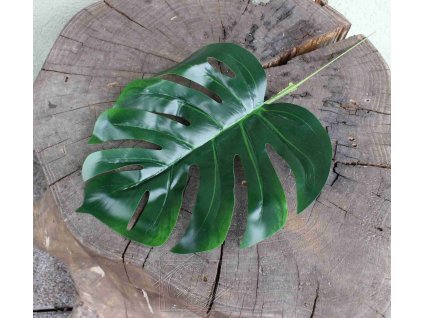 List monstera pr.25cm, zeleň - dekorácia