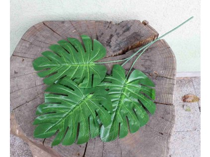 Listy monstera 60cm, zeleň - dekorácia