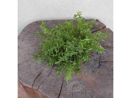 Zeleň rozmarín 40cm - dekorácia