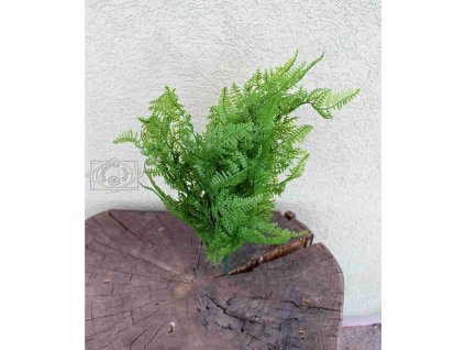 Zeleň - papraď zelená 35cm - dekorácia