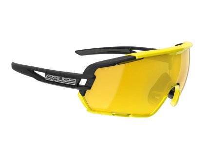 salice020rw black yellow by