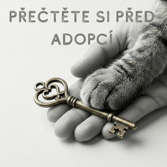 Přečtěte si před adopcí