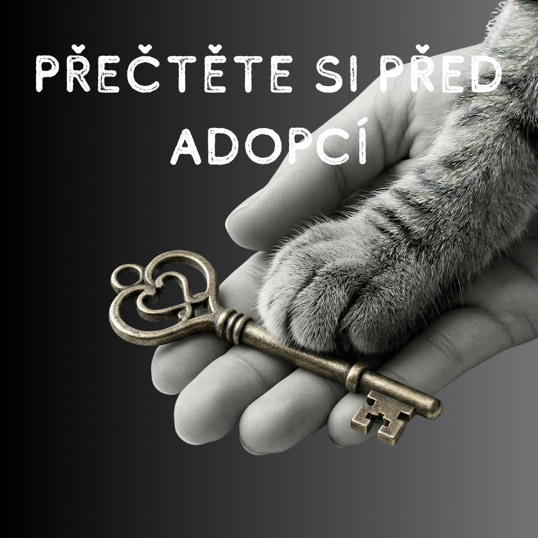 Přečtěte si před adopcí